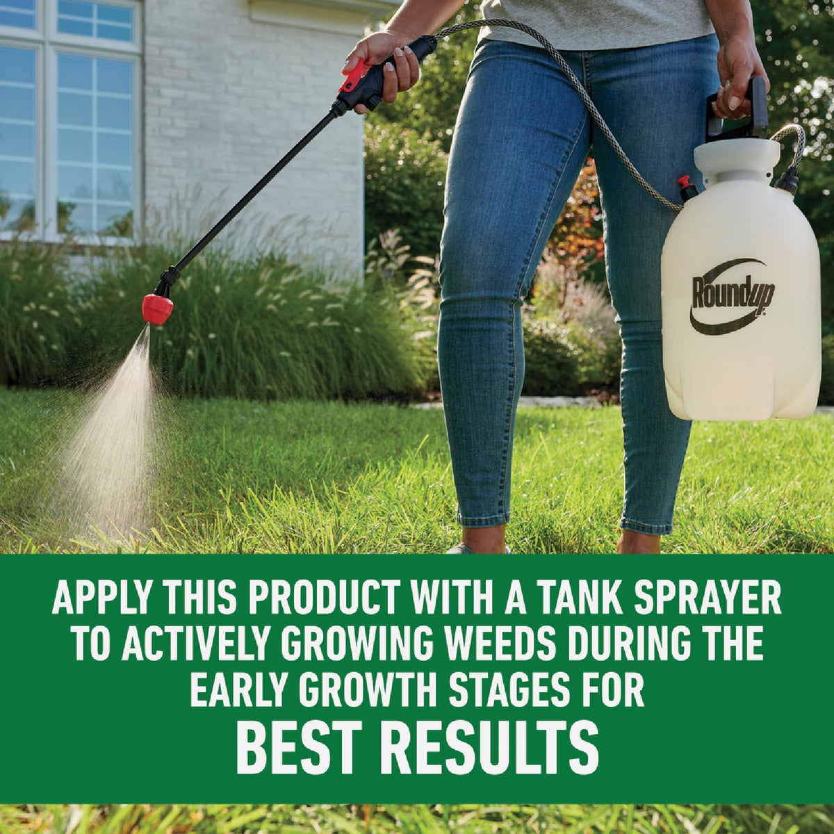 Roundup For Lawns 32 Oz. Concentrate Northern Formula Weed Killer Image 7