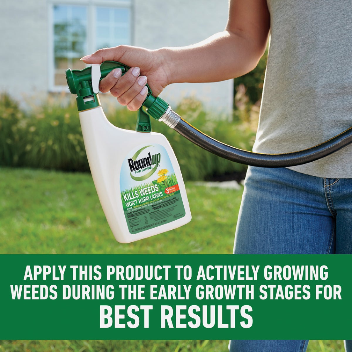 Roundup For Lawns 32 Oz. Northern Formula Weed Killer Image 7