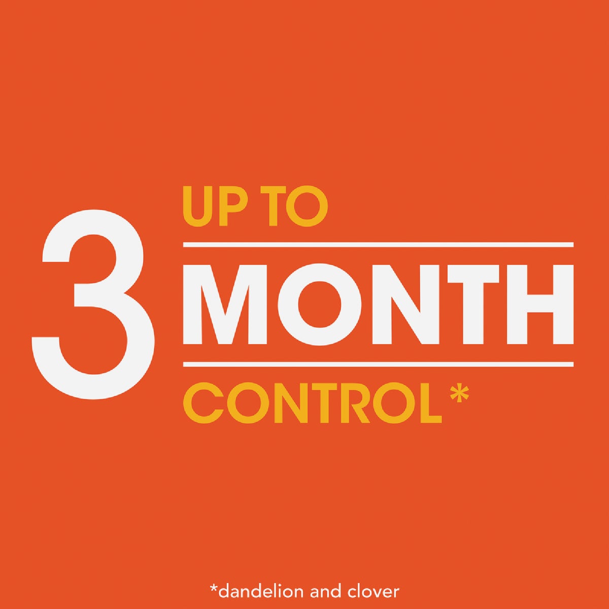 Roundup For Lawns 1 Gal. Ready To Use Wand Sprayer Northern Formula Weed Killer Image 3