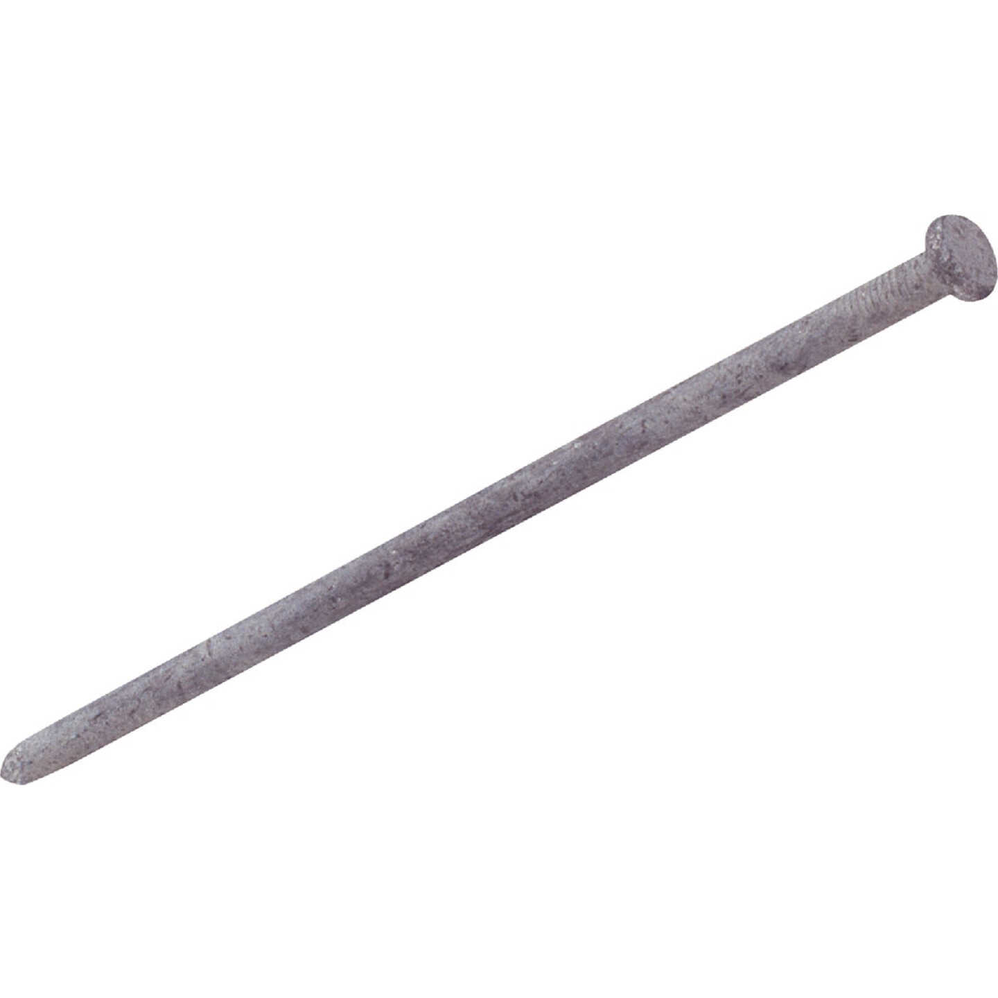 Do it Best 3/8 In. x 10 In. Hot Galvanized Smooth Landscape Spikes (145 Ct., 50 Lb.) Image 1