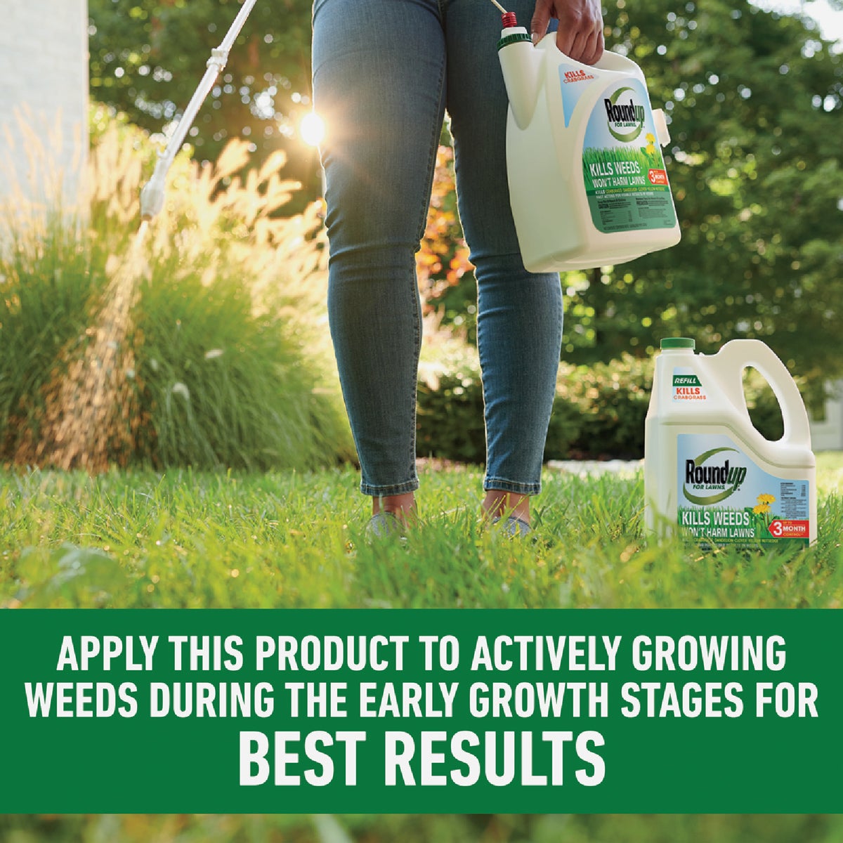 Roundup For Lawns 1.25 Gal. Refill Northern Formula Weed Killer Image 7