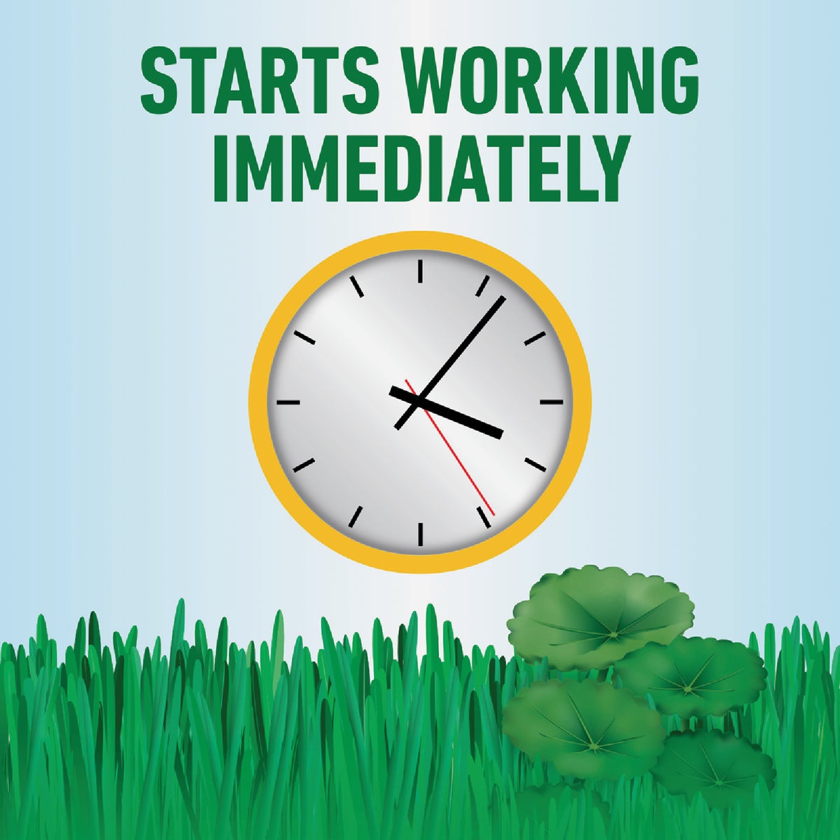 Roundup For Lawns 32 Oz. Spray Southern Formula Weed Killer Image 7