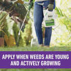 Roundup For Lawns 1 Gal. Ready To Use Wand Sprayer Southern Formula Weed Killer Image 6