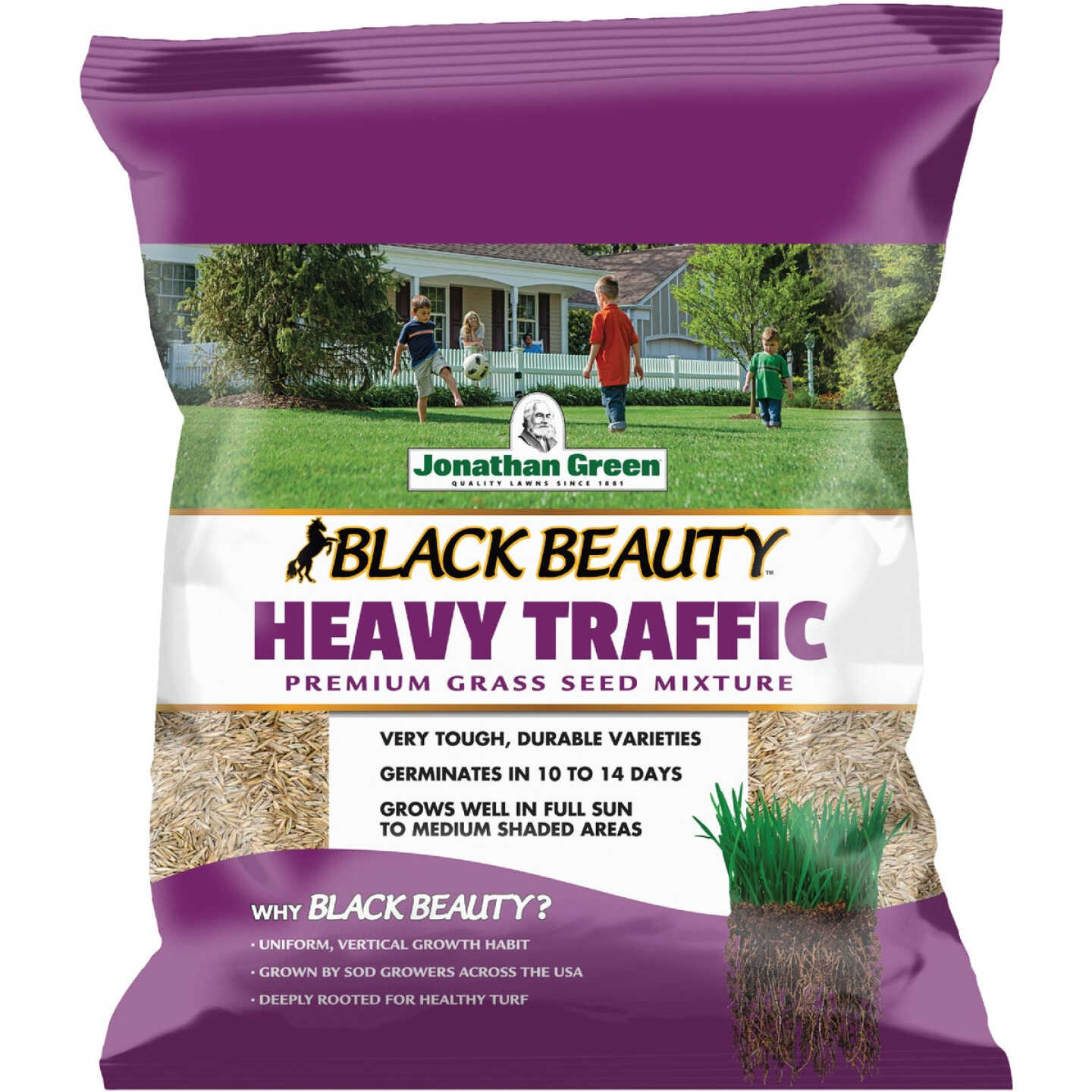 Jonathan Green Black Beauty Heavy Traffic 7 Lb. 1400 Sq. Ft. Coverage Grass Seed Image 1