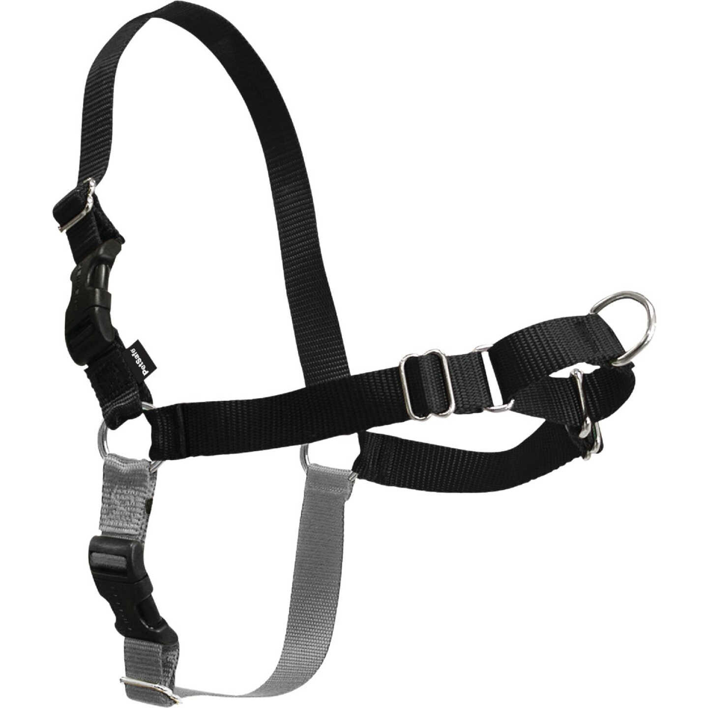 Petsafe Easy Walk 23 In. to 33 In. Black Nylon Harness Image 3
