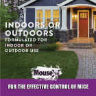 MouseX Pellet Mouse Killer, 1 Lb. Image 5