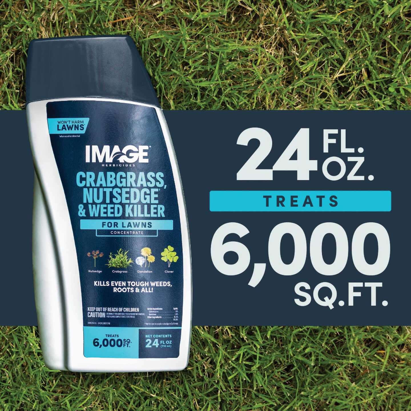 Image 24 Oz. Concentrate Crabgrass Nutsedge Lawn Weed Killer Image 5