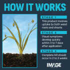 Image 24 Oz. Concentrate Crabgrass Nutsedge Lawn Weed Killer Image 3