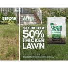 Scotts Turf Builder Thick'R Lawn 40 Lb. 4000 Sq. Ft. Sun & Shade Grass Seed, Fertilizer, and Soil Improver Combination Image 5