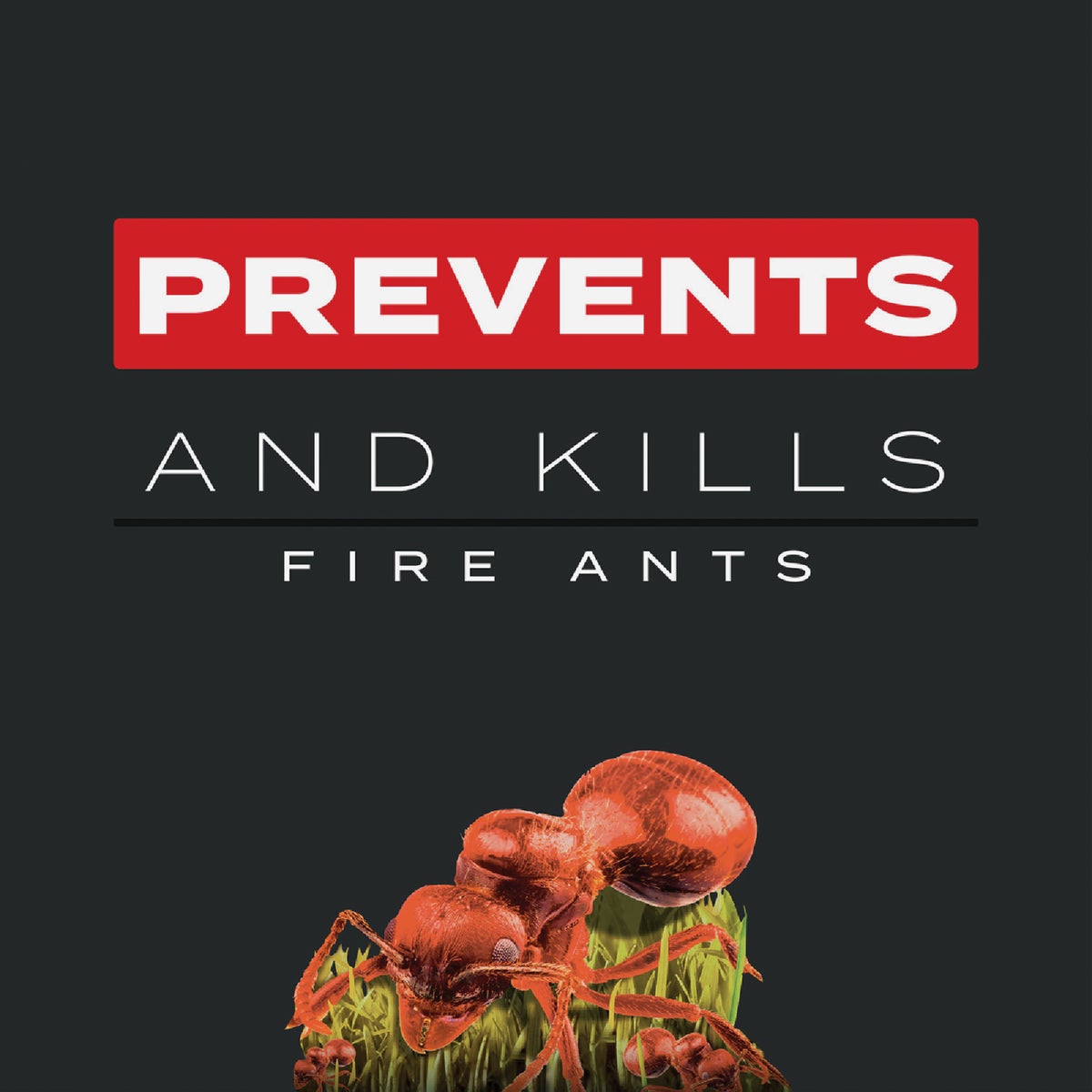 Scotts Turf Builder Southern Triple Action 13.32 Lb. 4000 Sq. Ft. Weed Killer Plus Lawn Fertilizer Image 3