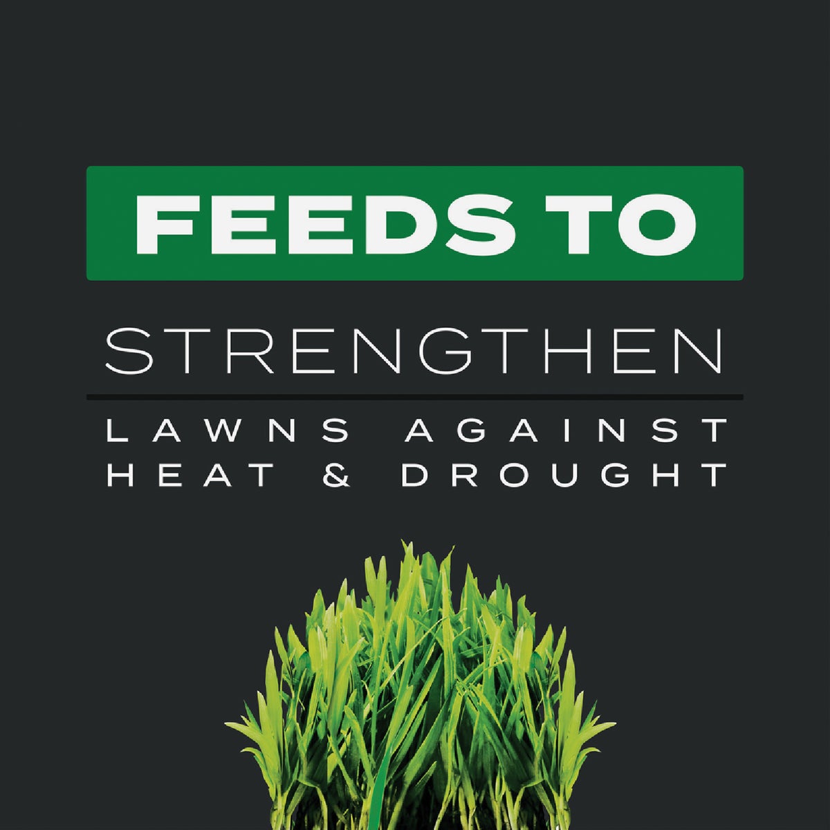 Scotts Turf Builder Southern Triple Action 13.32 Lb. 4000 Sq. Ft. Weed Killer Plus Lawn Fertilizer Image 4