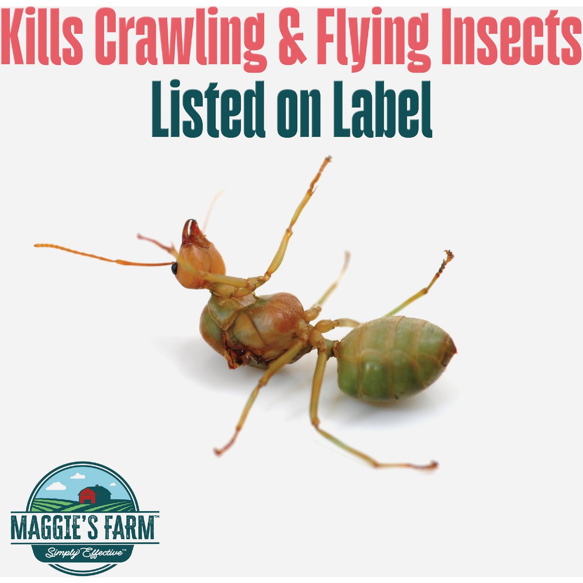 Maggie's Farm 24 Oz. Ready To Use Trigger Spray Home Bug Spray Insect Killer Image 2