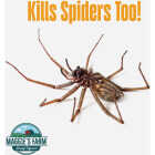 Maggie's Farm 14 Oz. Foaming Aerosol Spray Wasp & Hornet Killer Image 4