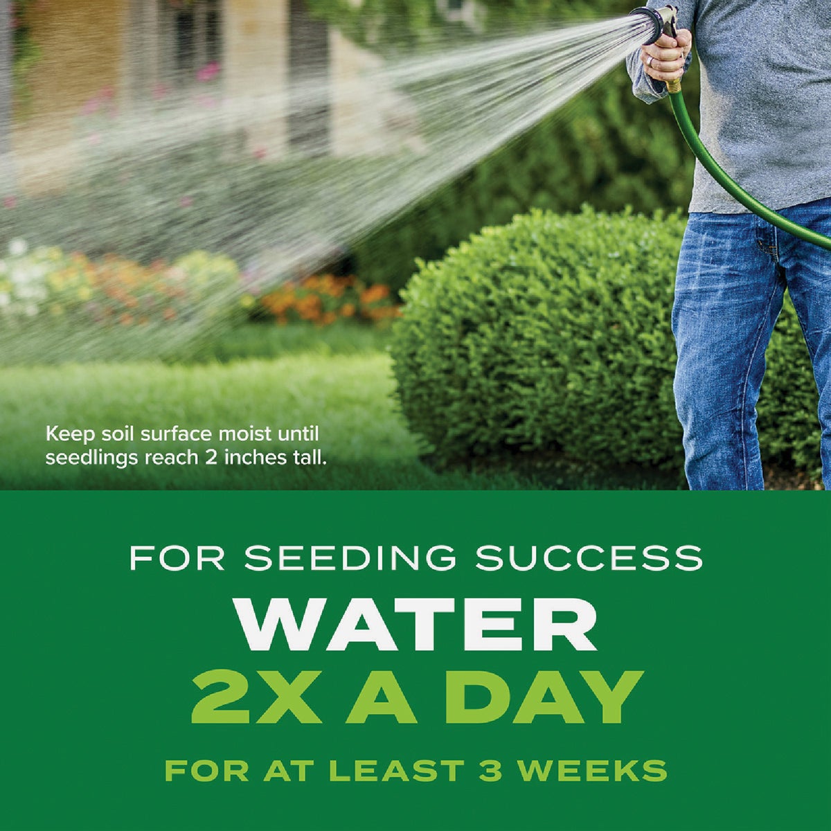 Scotts Turf Builder Rapid Grass 5.6 Lb. 2800 Sq. Ft. Sun & Shade Mix Grass Seed & Fertilizer Combination Image 5