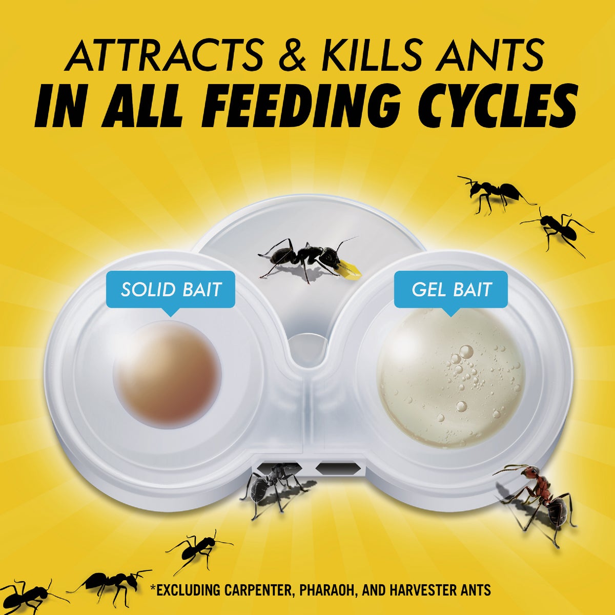 Combat Max 2-in-1 Ant Bait Station (4-Pack) Image 4