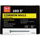 Do it 10d x 3 In. 9 ga Bright Common Nails (66 Ct., 1 Lb.) Image 1