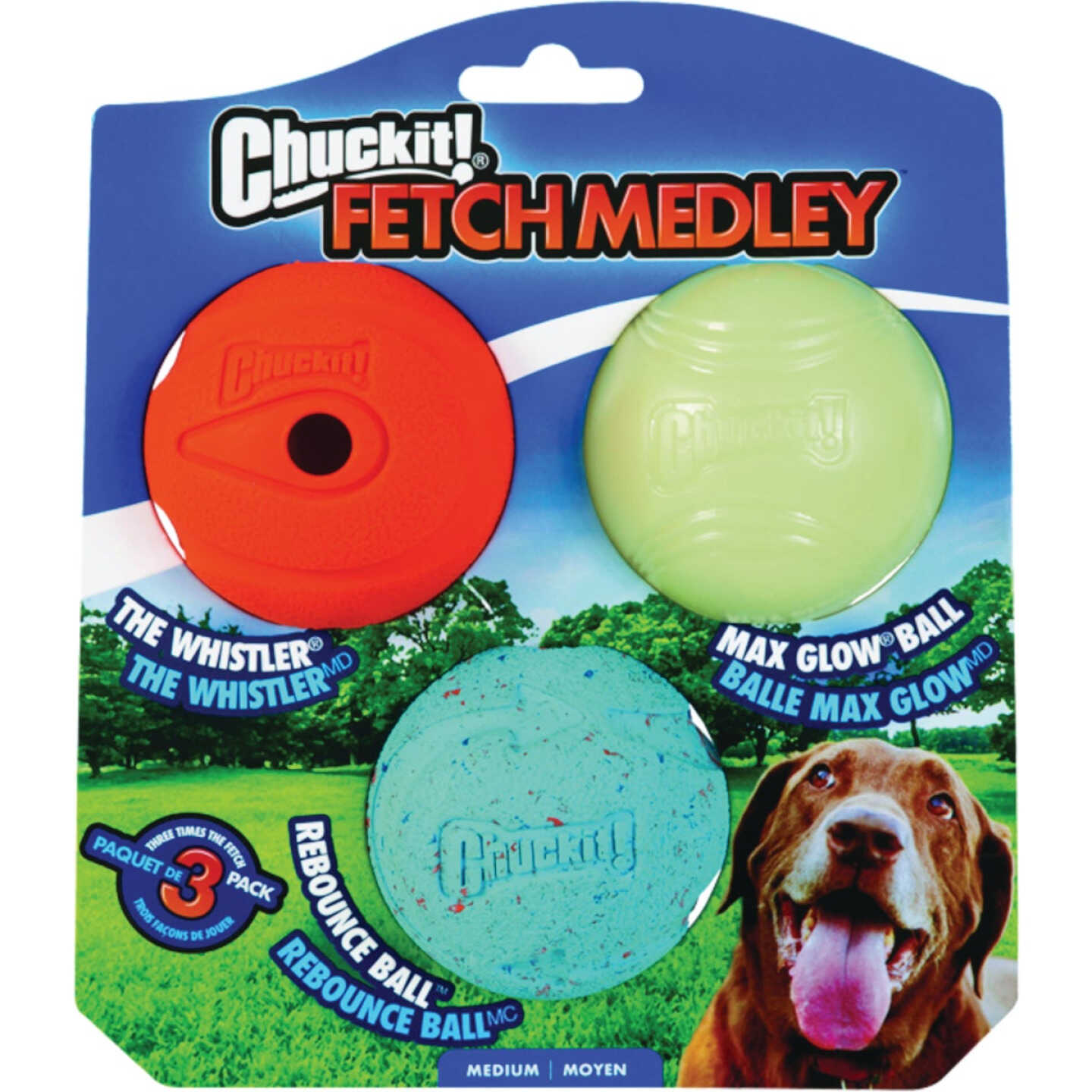 Chuckit Fetch Medley Medium Ball (3-Pack) Image 1