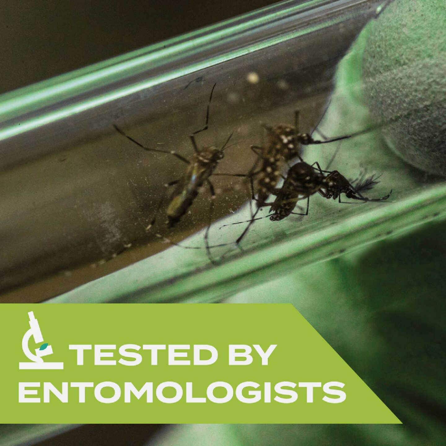 Stem 4 Oz. Spritz Mosquito Repellent Spritz Image 4