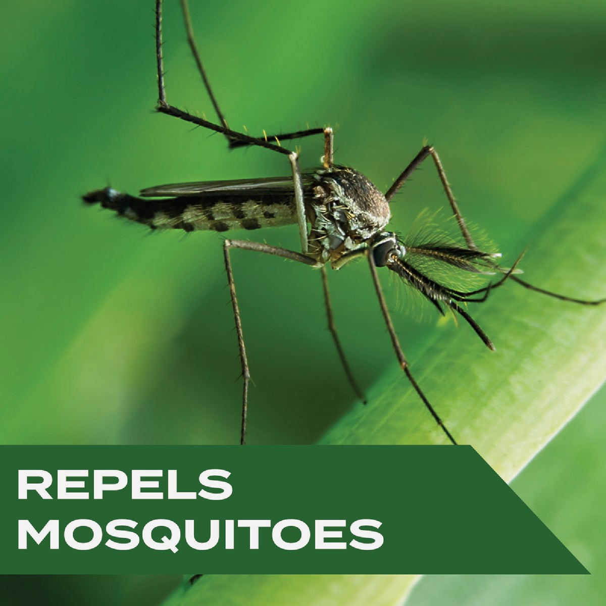 Stem 4 Oz. Spritz Mosquito Repellent Spritz Image 2