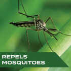 Stem 4 Oz. Spritz Mosquito Repellent Spritz Image 2