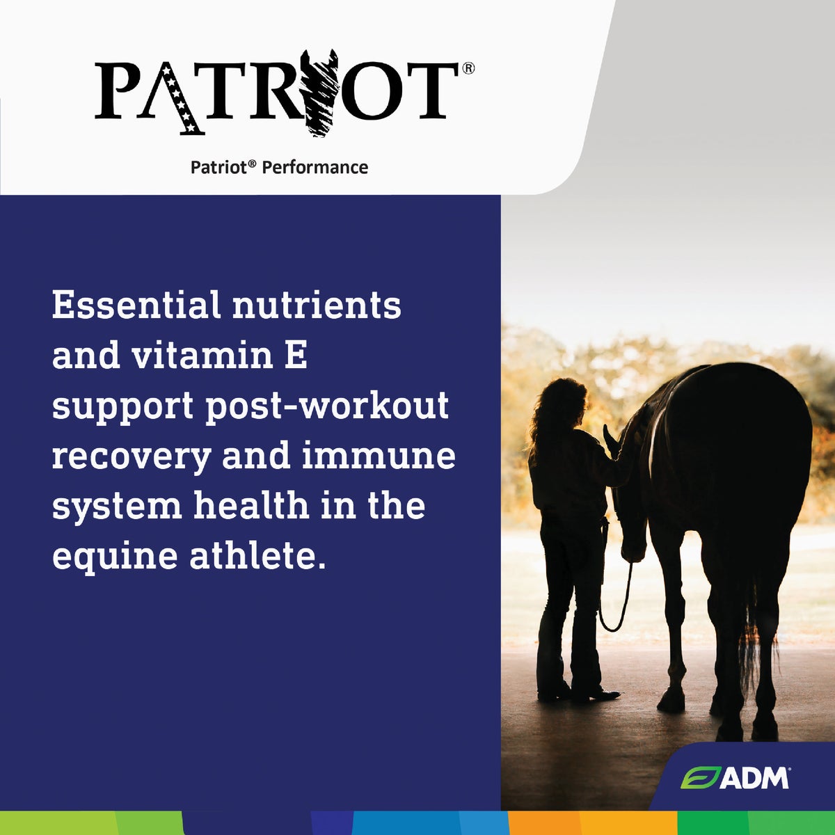 ADM Patriot 50 Lb. Performance Equine Feed Image 7