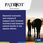 ADM Patriot 50 Lb. Performance Equine Feed Image 7