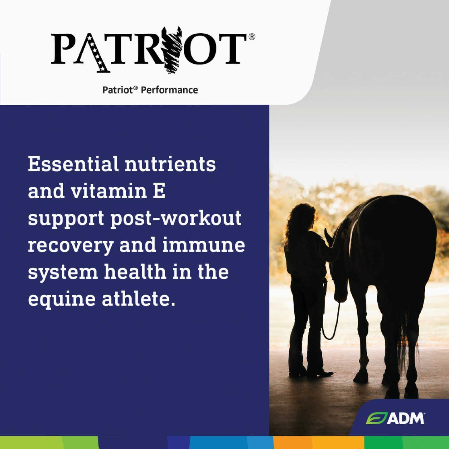 ADM Patriot 50 Lb. Performance Equine Feed Image 7