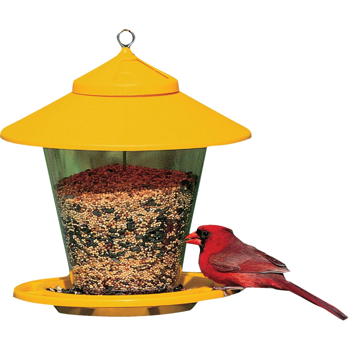 Cherry Valley Plastic Hopper Bird Feeder, 4 Lb. Image 1