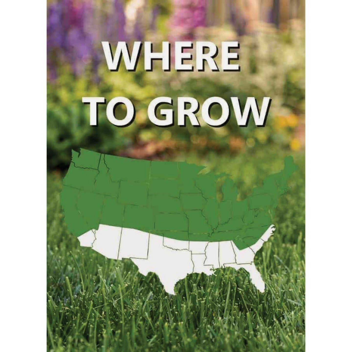 Jonathan Green Black Beauty Shady Nooks 25 Lb. 9375 Sq. Ft. Coverage Trivialis, Fescue, Ryegrass Grass Seed Image 2