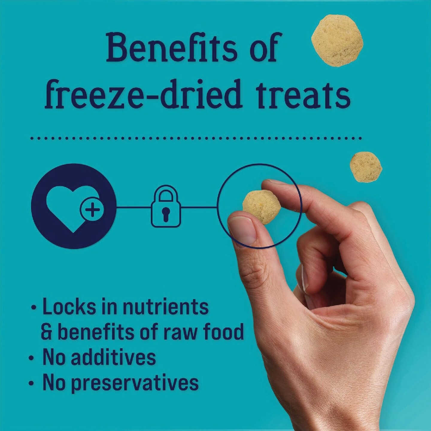 Stewart PuffPops 2.8 Oz. Bacon, Egg, & Cheese Freeze-Dried Dog Treats Image 4