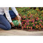 Scotts 3 Lb. All Purpose Flower & Vegetable Continuous Release Plant Food Image 3