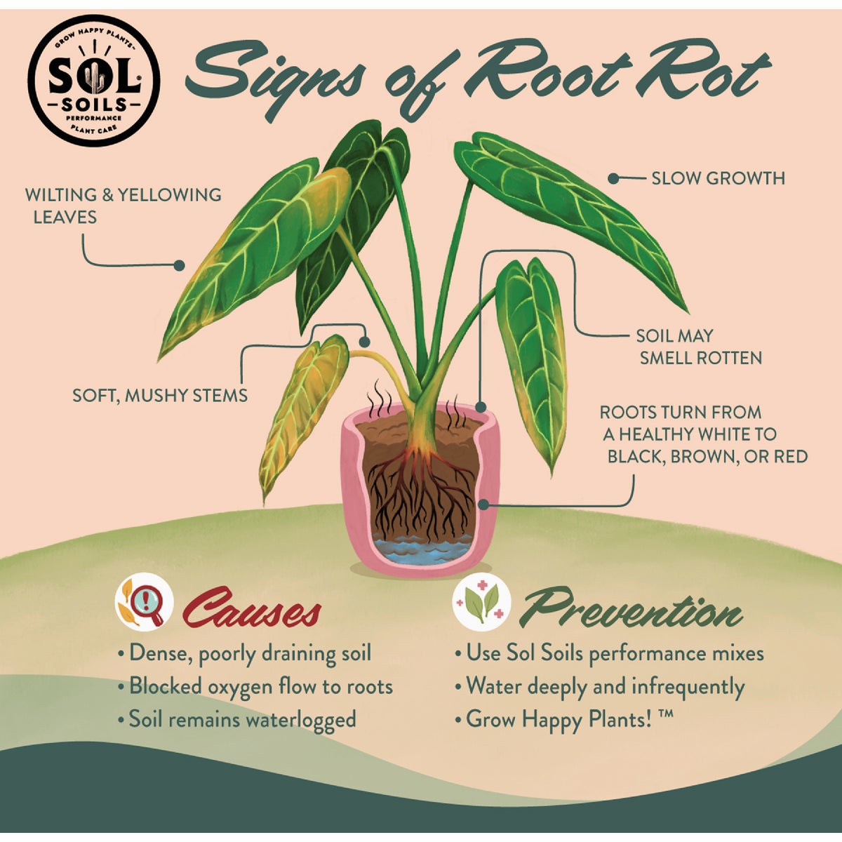 Sol Soils 1 Qt. Houseplant Chunky Mix Image 6