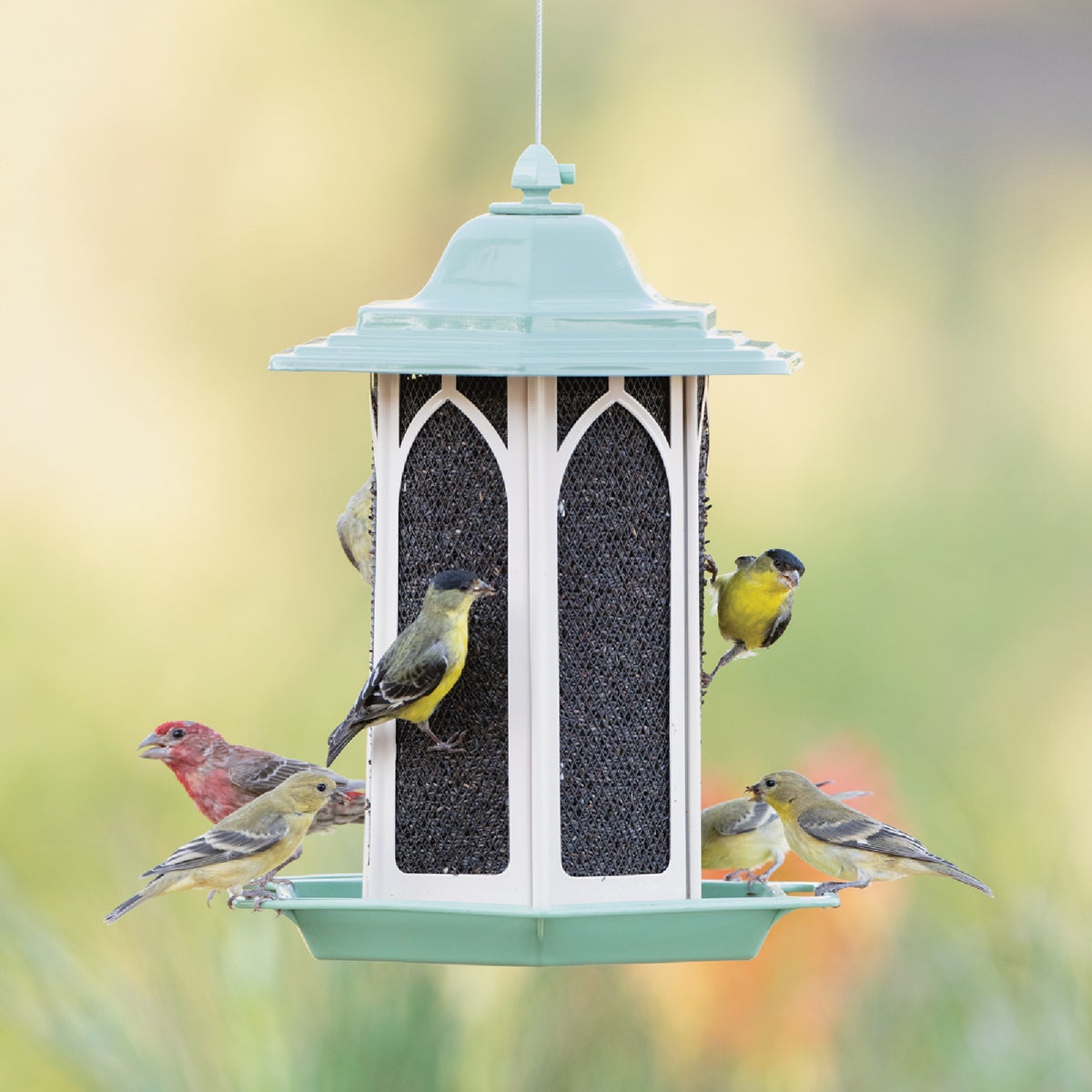 Perky-Pet Pistachio 3.5 Lb. Capacity Gazebo Bird Feeder Image 2