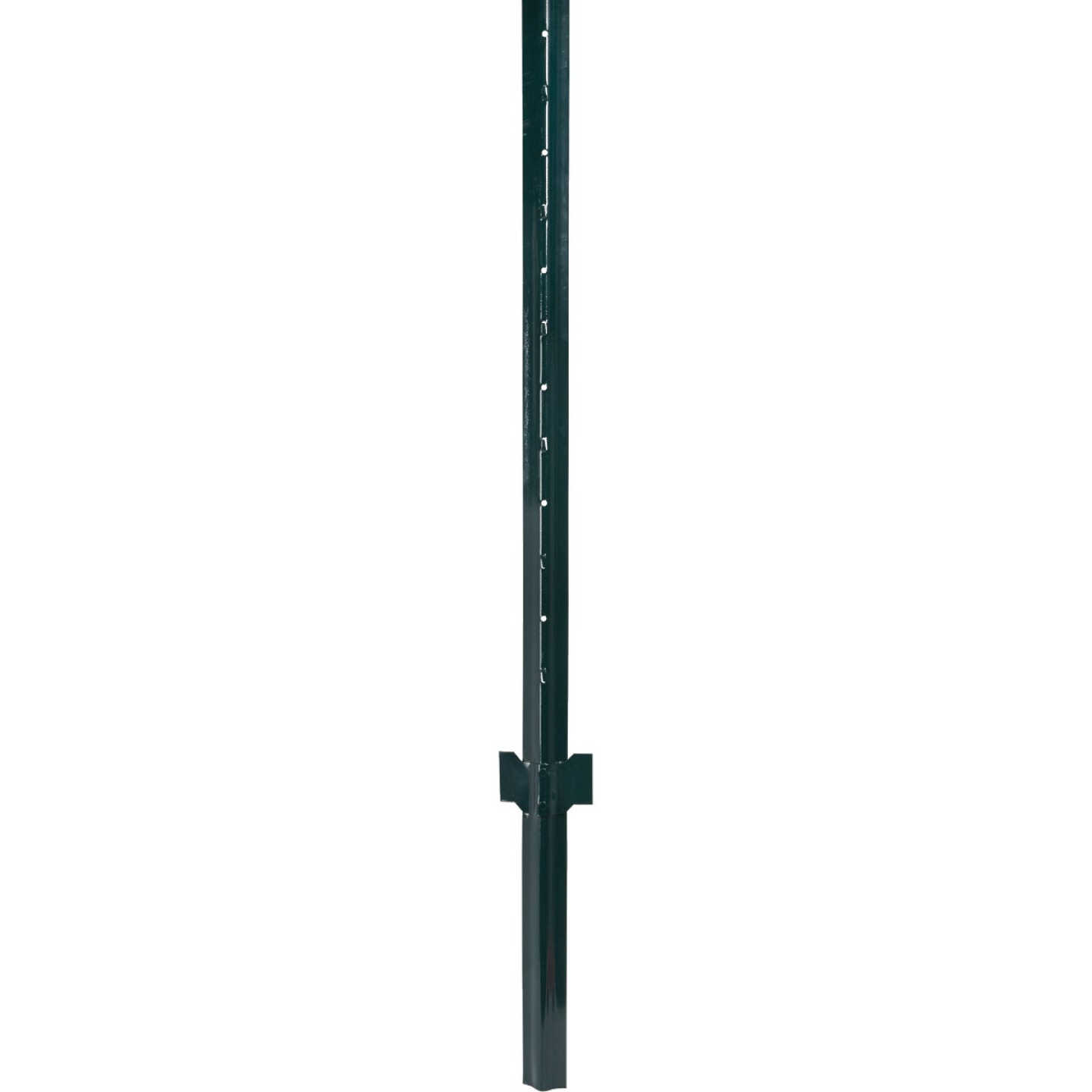 Do it Heavy-Duty 6 Ft. 13 Ga. Fence U-Post Image 1