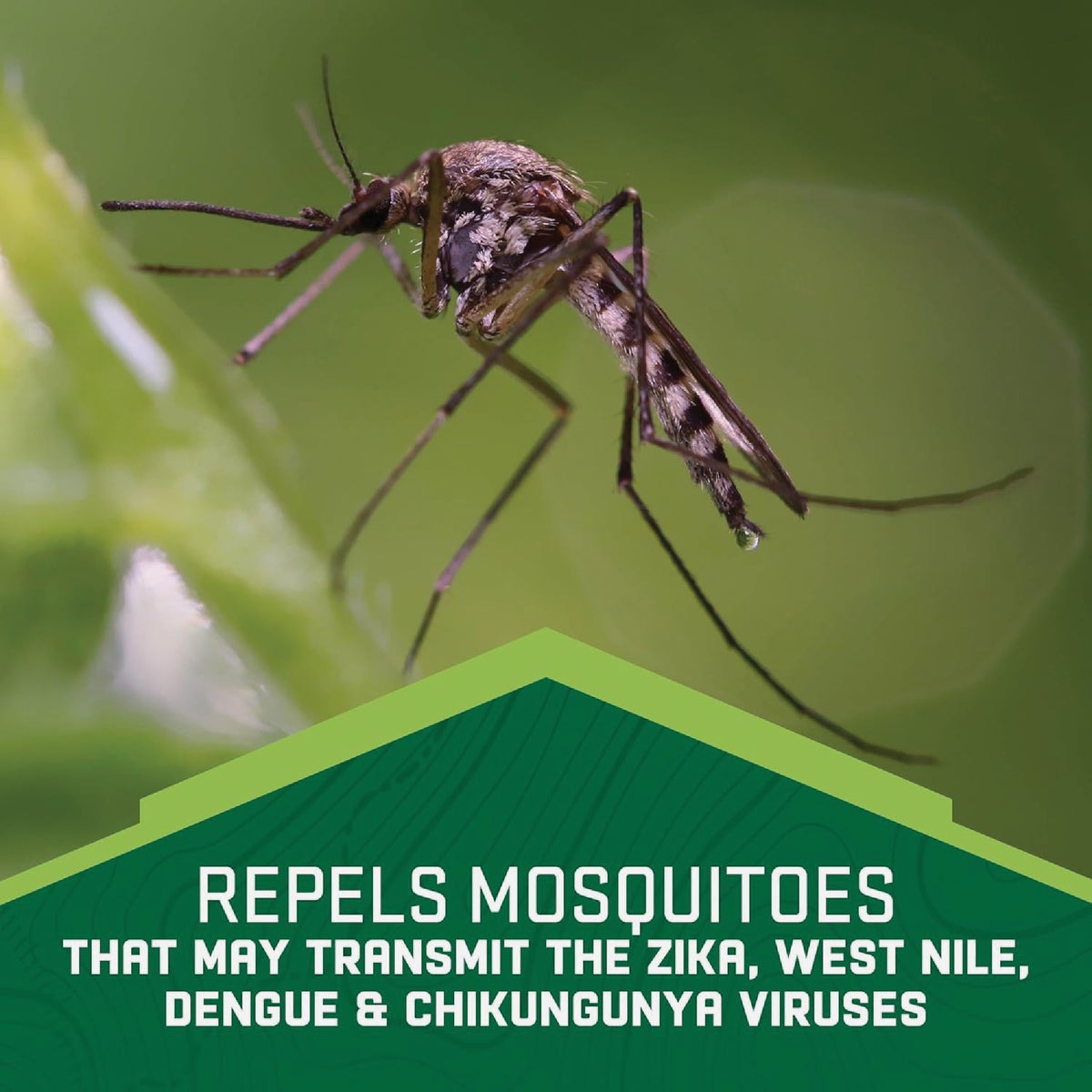 Repel 4 Oz. Aerosol Spray Family Insect Repellent Image 4