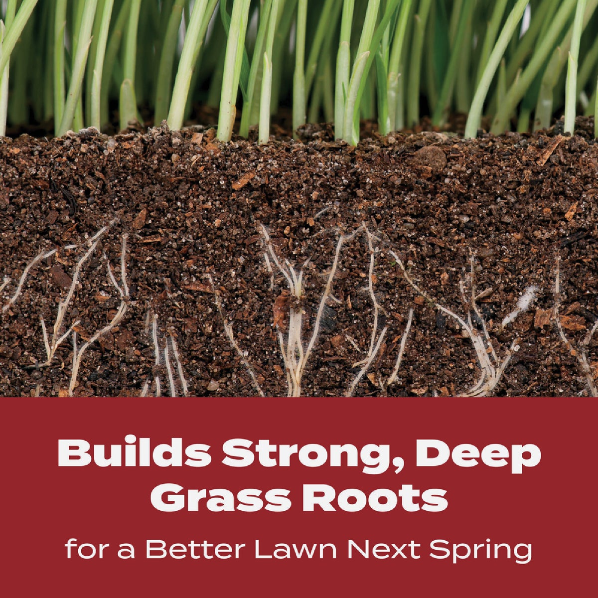 Scotts Turf Builder WinterGuard 10 Lb. 4000 Sq. Ft. Fall Lawn Food Image 10