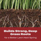 Scotts Turf Builder WinterGuard 10 Lb. 4000 Sq. Ft. Fall Lawn Food Image 10