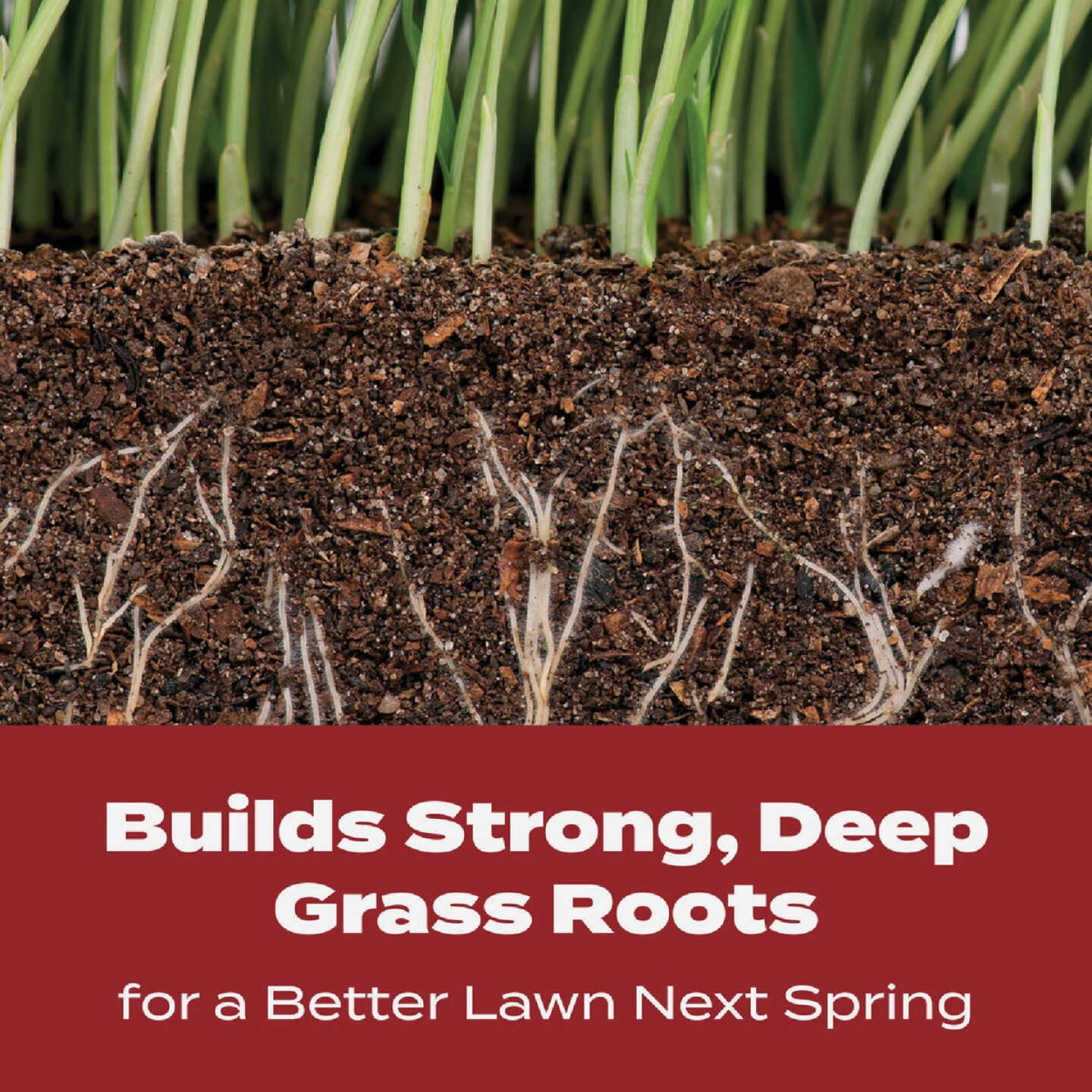 Scotts Turf Builder WinterGuard 10 Lb. 4000 Sq. Ft. Fall Lawn Food Image 10