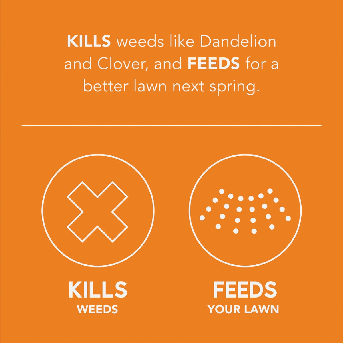 Scotts Turf Builder WinterGuard 11.43 Lb. 4000 Sq. Ft. Fall Weed & Feed Image 2