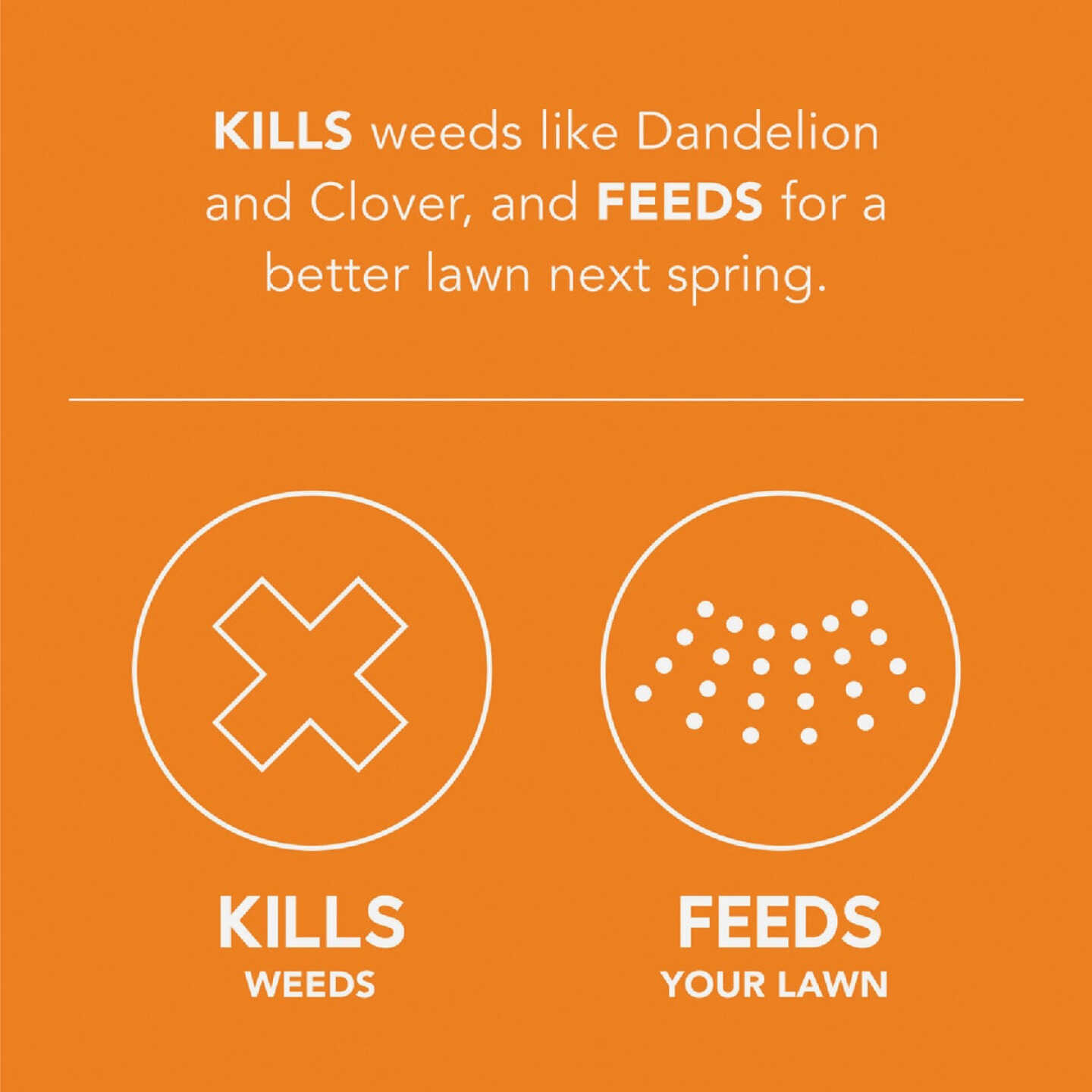 Scotts Turf Builder WinterGuard 43.3 Lb. 12,000 Sq. Ft. Fall Weed & Feed Image 2