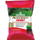 Jonathan Green Black Beauty 25 Lb. 10,625 Sq. Ft. Coverage Full Sun Grass Seed Image 1