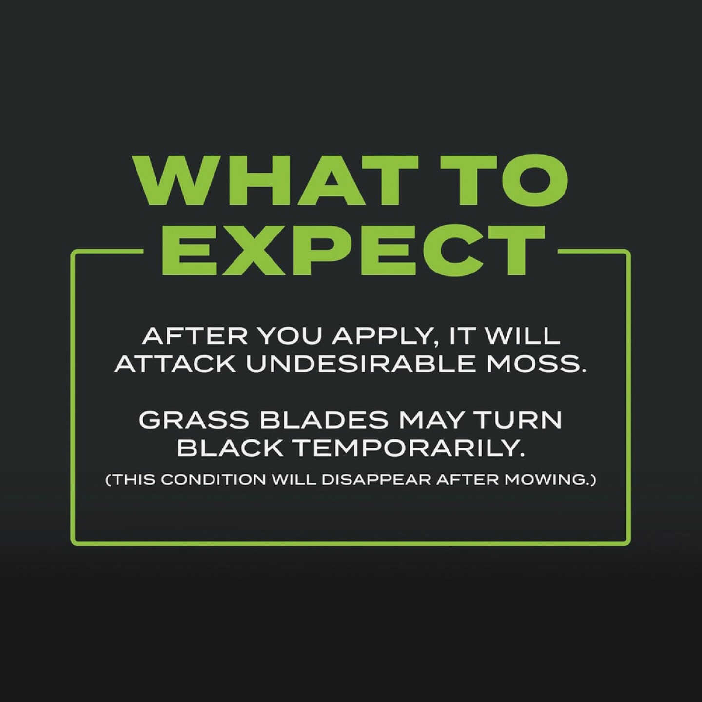 Scotts Turf Builder Triple Action 4000 Sq. Ft. 20 Lb. Moss Control & Lawn Fertilizer Image 5