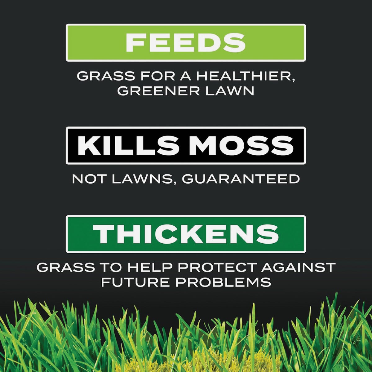 Scotts Turf Builder Triple Action 4000 Sq. Ft. 20 Lb. Moss Control & Lawn Fertilizer Image 2