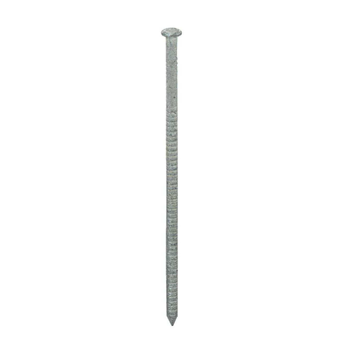 Maze 3 In. 13 ga Hot Dipped Galvanized Wood Siding Nails (765 Ct., 5 Lb.) Image 1