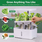 AeroGarden Grow Anything 6-Seed Pod Kit Image 3
