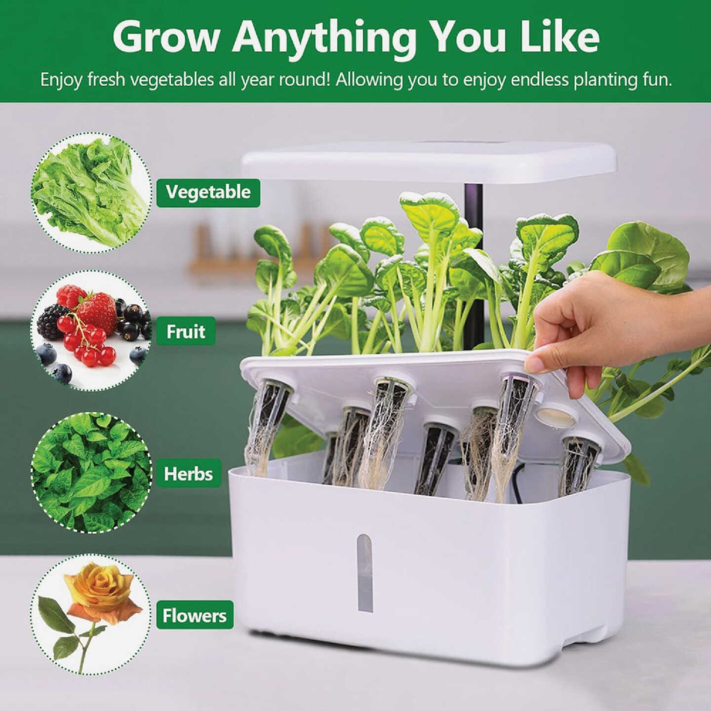 AeroGarden Grow Anything 6-Seed Pod Kit Image 3