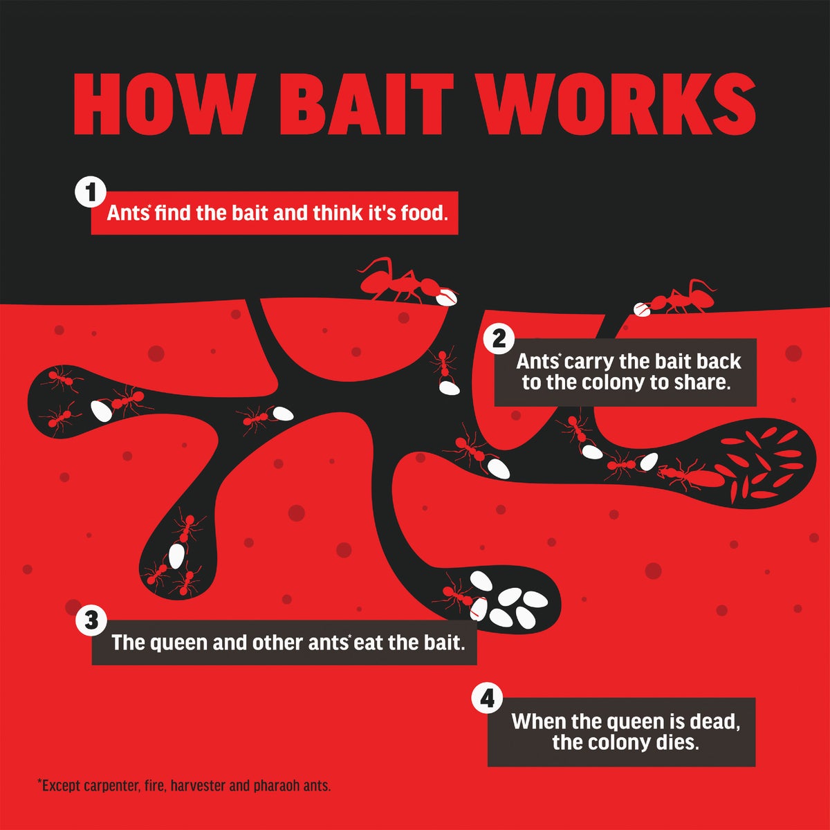 Amdro 1.28 Oz. Solid Ant Bait Stake (8-Pack) Image 6