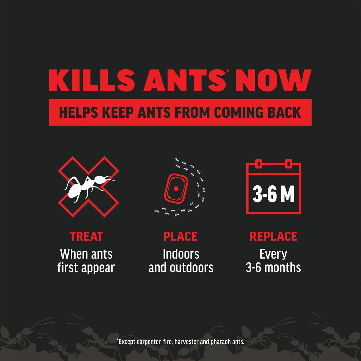 Amdro 1.28 Oz. Solid Ant Bait Stake (8-Pack) Image 5