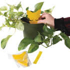 Intruder The Better Bugtrap for Plants Disposable Indoor/Outdoor Insect Trap (10-Pack) Image 5