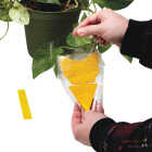 Intruder The Better Bugtrap for Plants Disposable Indoor/Outdoor Insect Trap (10-Pack) Image 3